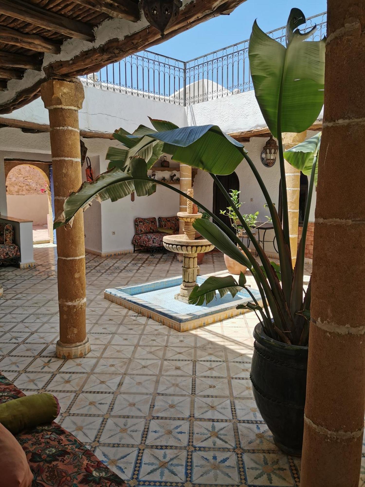 Riad Eucalyptus Εσαουίρα Εξωτερικό φωτογραφία