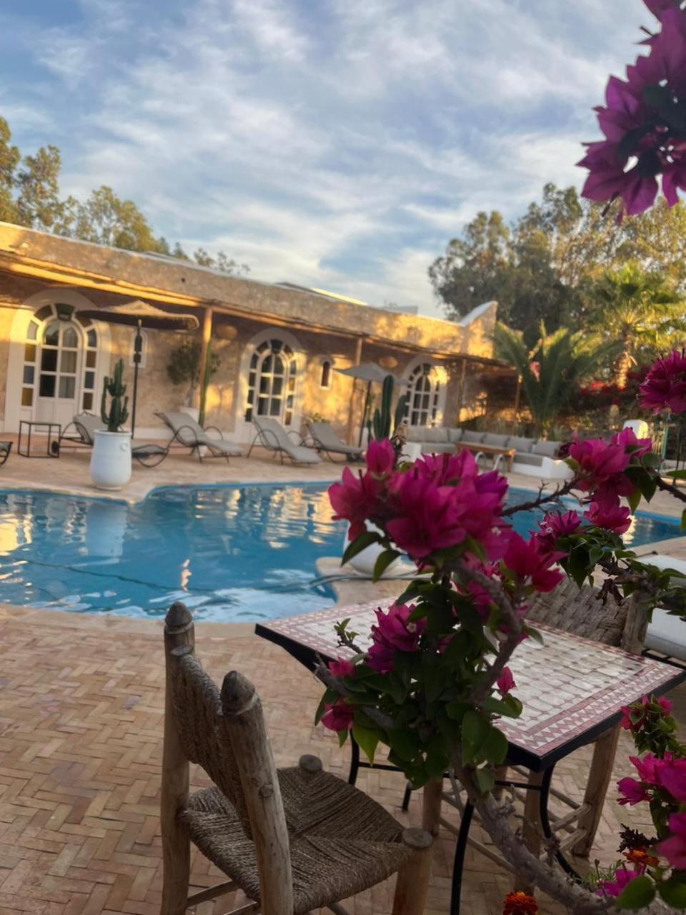 Riad Eucalyptus Εσαουίρα Εξωτερικό φωτογραφία